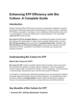 Enhancing STP Efficiency with Bio Culture_ A Complete Guide