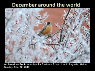December around the world