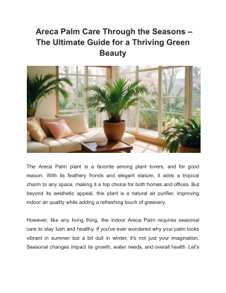 Areca Palm Care Through the Seasons – The Ultimate Guide for a Thriving Green