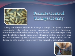 Termite Killer Orange County