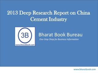 2013 Deep Research Report on China Cement Industry