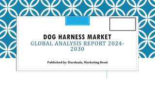 Dog Harness Market Share, Trends and Overview | 2024-2030