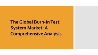 Burn-In Test System Market