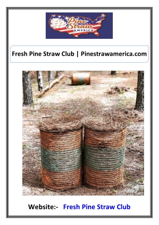 Fresh Pine Straw Club  Pinestrawamerica.com