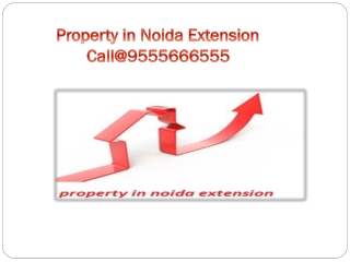 property in noida extension, noida extension property