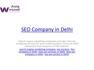 SEO Company in Delhi