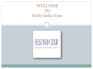 Delhi Agra Jaipur Tours | Hello India Tour