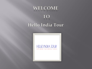 Rajasthan Tours Europe | Hello India Tour