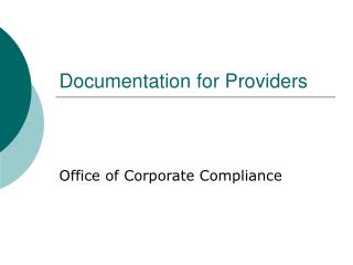 Documentation for Providers