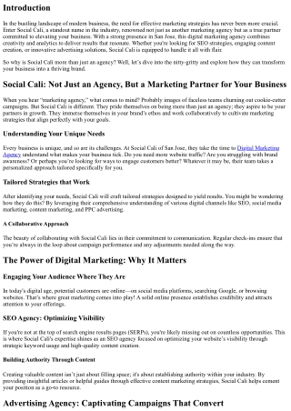 Social Cali: Not Just an Agency, But a Marketing Partner for Your Business