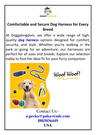Comfortable and Secure Dog Harness for Every Breed 01