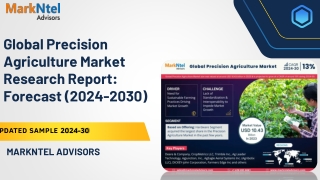 Global Precision Agriculture Market Research Report: Forecast (2024-2030)