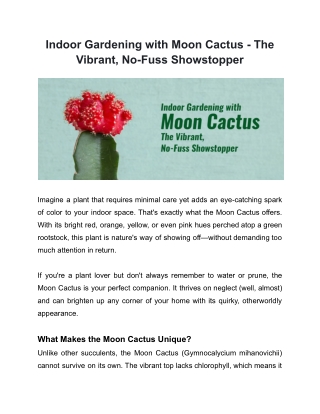 Indoor Gardening with Moon Cactus - The Vibrant, No-Fuss Showstopper