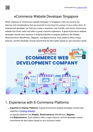 eCommerce Website Developer Singapore