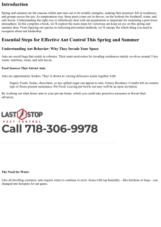 Essential Steps for Effective Ant Control This Spring and Summer
