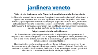 jardinera veneto