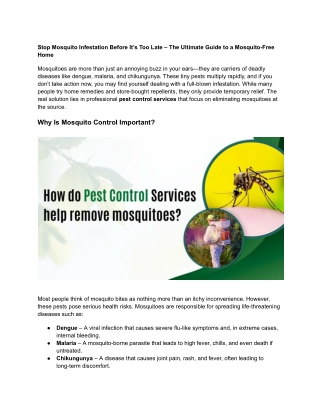 Stop Mosquito Infestation Before It’s Too Late – The Ultimate Guide to a Mosquito-Free Home
