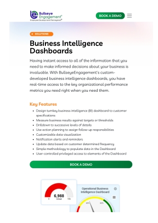 Business Intelligence Dashboards