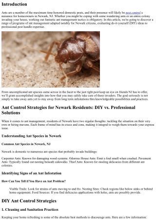Ant Control Strategies for Newark Residents: DIY vs. Professional Solutions