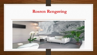 Pletfri og Miljøvenlig Airbnb Rengøringsservice