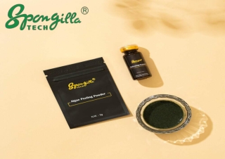 Discover the Benefits of Sponge Spicules for Skincare Solutions