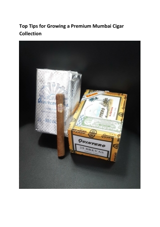 Top Tips for Growing a Premium Mumbai Cigar Collection