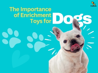 Top Dog Enrichment Toys UK – Keep Your Pup Happy & Active!