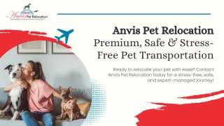 Anvis Pet Relocation – Redefining Pet Transportation Excellence
