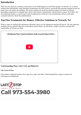 Top Flea Treatments for Homes: Effective Solutions in Newark, NJ