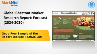 Chestnut Market Comprehensive Analysis and Forecast 2024 to 2030