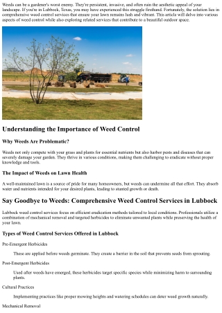 Say Goodbye to Weeds: Comprehensive Weed Control Services in Lubbock