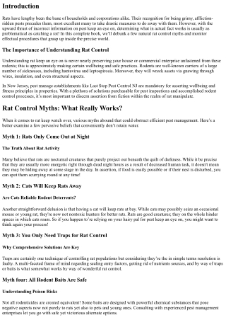 Rat Control Myths: What Really Works?