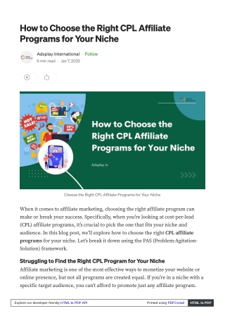 How to Choose the Right CPL Affiliate Programs for Your Niche