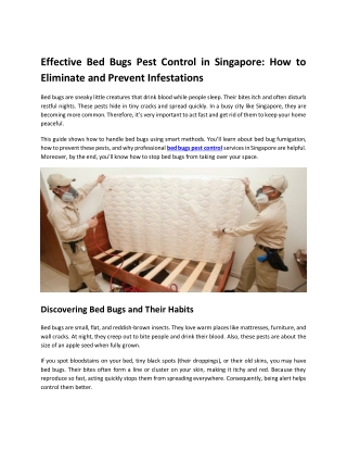 Effective Bed Bugs Pest Control in Singapore