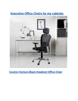 Executive Office Chairs by my cubicles