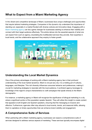 What to Expect from a Miami Marketing Agency