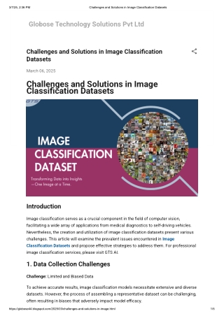 Challenges and Solutions in Image Classification Datasets