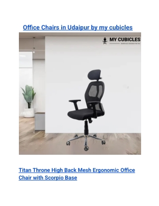 Office Chairs in Udaipur by my cubicles (1)