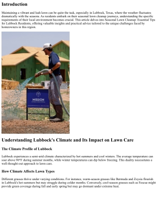 Seasonal Lawn Cleanup: Essential Tips for Lubbock Residents