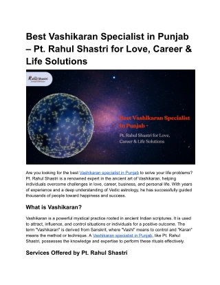 Best Vashikaran Specialist in Punjab – Pt. Rahul Shastri for Love, Career & Life Solutions - Google Docs