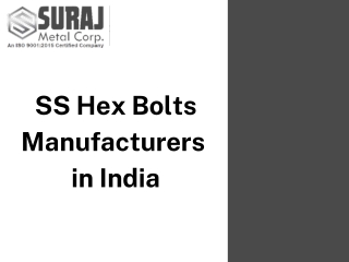 SS Hex Bolts Manufacturers in India