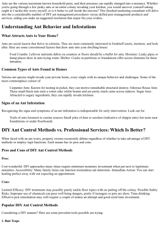 DIY Ant Control Methods vs. Professional Services: Which Is Better?