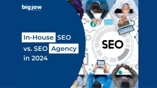 In-House SEO vs. SEO Agency in 2024 Weighing the Pros & Cons