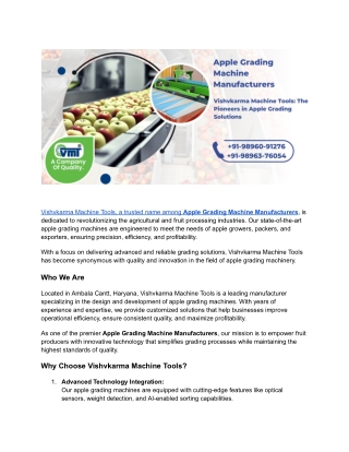 Top Apple Grading Machine Manufacturers | High-Quality Sorting & Packaging Solut