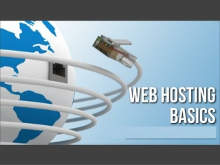 Web Hosting Basics