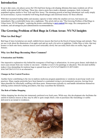“The Growing Problem of Bed Bugs in Urban Areas: NY/NJ Insights”
