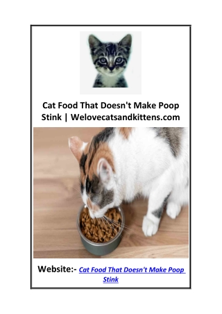 Cat Food That Doesn't Make Poop Stink  Welovecatsandkittens.com
