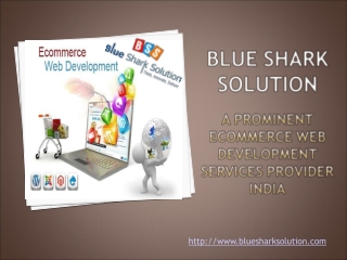 A prominent ecommerce web development services provider