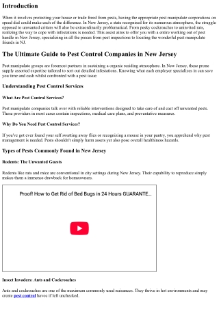 The Ultimate Guide to Pest Control Companies in New Jersey