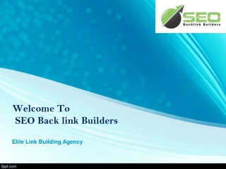 SEO Backlink Builders